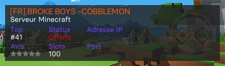 [FR] BROKE BOYS -COBBLEMON - Serveur Minecraft