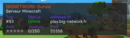 BIGNETWORK-Survie