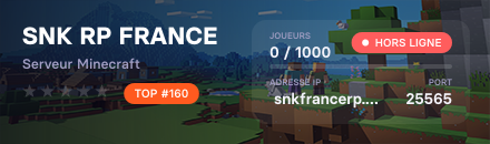 SNK RP FRANCE