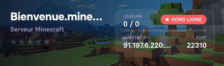 Bienvenue.mine.fun