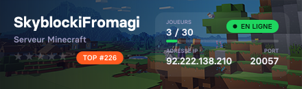 SkyblockiFromagi