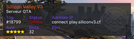 Sillicon Valley V3 - Serveur GTA