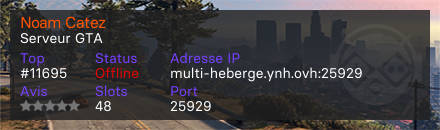 Noam Catez - Serveur GTA