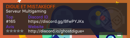 DIGUE ET MISTAKEOFF - Serveur Multigaming