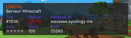 LifeCity - Serveur Minecraft
