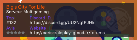 Big's City For Life - Serveur Multigaming