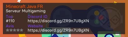 Minecraft Java FR