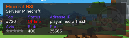 MinecraftNSI
