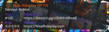 💫┋Nice Rôleplay RP FR