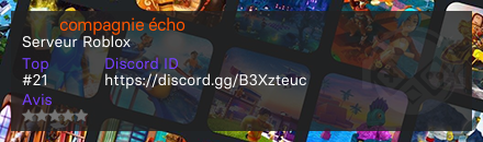 ミ★ compagnie écho ★彡